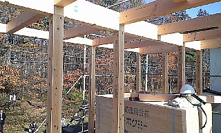 c0039501_92484.jpg