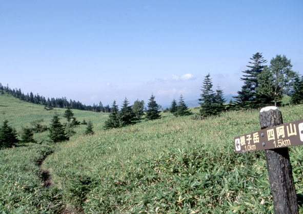 a0087804_16202137.jpg