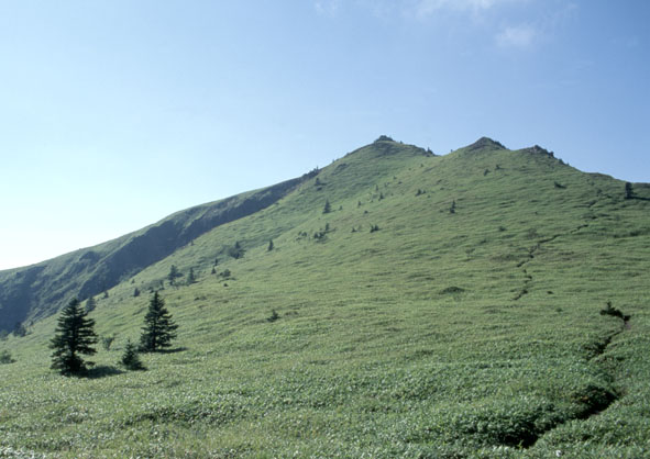a0087804_16203471.jpg