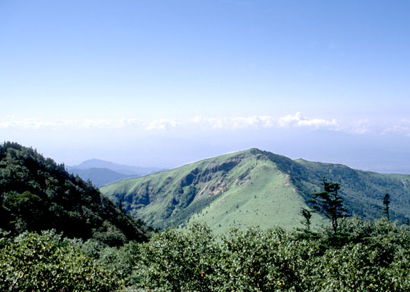 a0087804_1620819.jpg