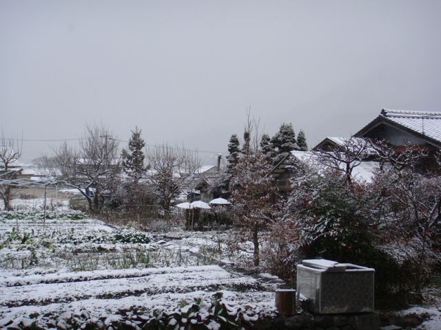 初雪_a0125305_22395694.jpg