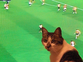 d0131207_19555247.jpg