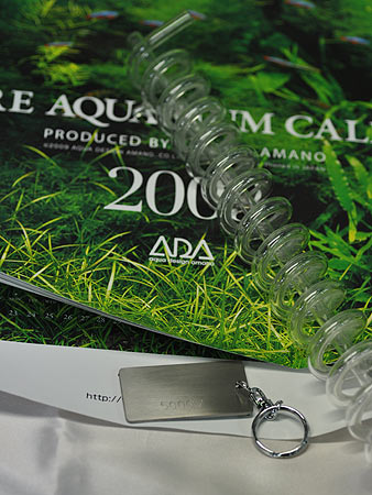 ADAレアもの大集合!! : ネイチャーアクアリウム的生活