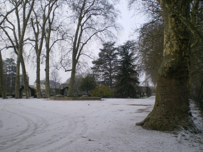 c0124619_005119.jpg