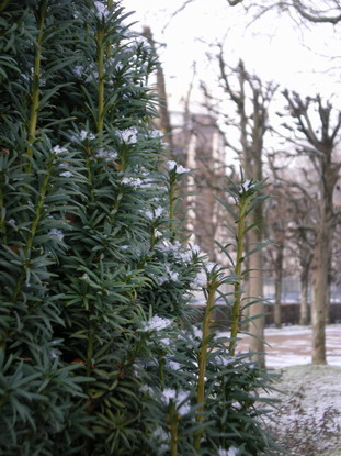 c0124619_021769.jpg