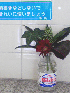 e0043720_2183.jpg