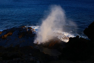 f0170524_12185947.jpg