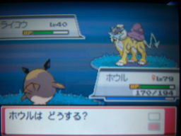 ポケットモンスターハートゴールドプレイ日記（レベル上げ）_a0120525_1564671.jpg