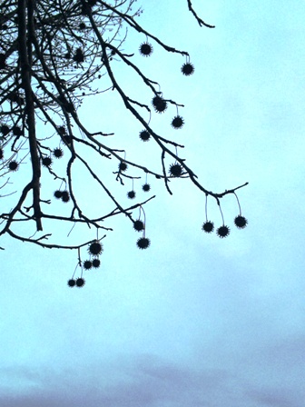 c0070940_1033029.jpg