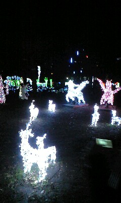 f0105146_2142598.jpg