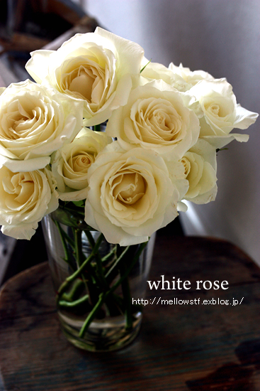 white roses_d0124248_17344926.jpg