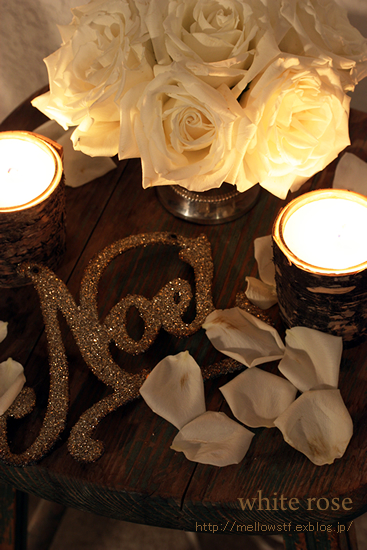 white roses_d0124248_1739440.jpg