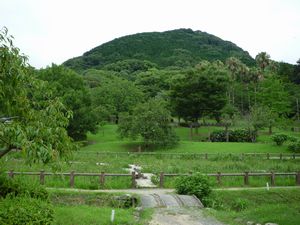 宮地嶽神社　（Ⅰ）_c0222861_20182147.jpg