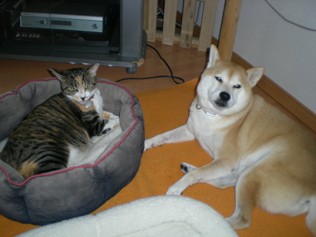 2009年12月17日(木)今日はお誕生日!_f0060461_14343861.jpg