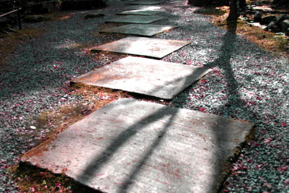 c0219162_1237231.jpg