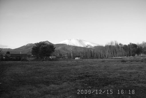 b0075364_1059914.jpg