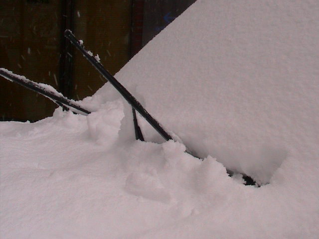 a0140584_106162.jpg