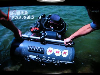 謎の巨大魚「アカメ」を追う_b0163792_2424875.jpg