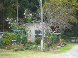 c0078592_22552460.gif