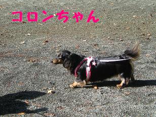 c0188294_1031332.jpg