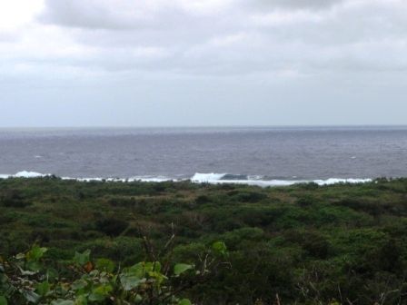 今日の鳩間島　12/17（木）　雨のち　曇り時々雨_b0165698_22364194.jpg