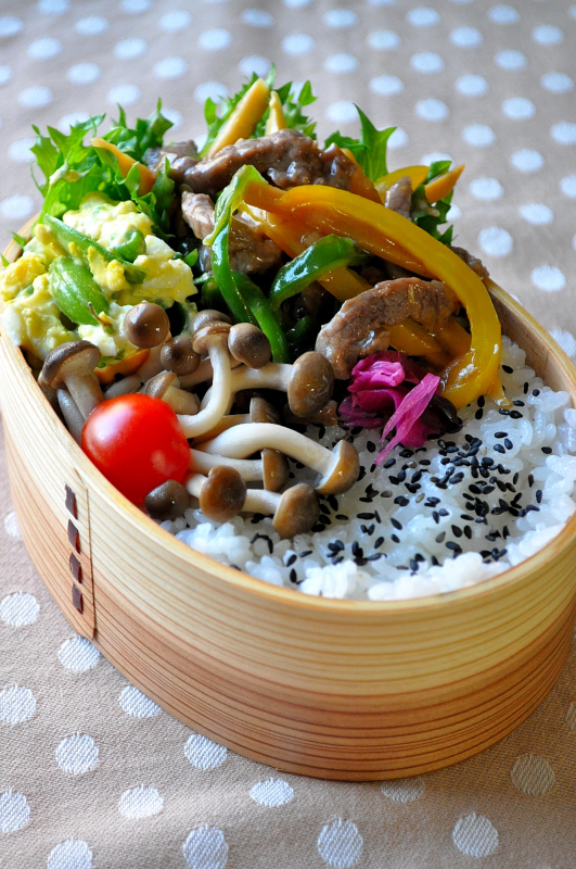 すぐ出来♪チンジャオロースのお弁当_b0171098_750031.jpg