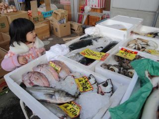 マコちゃん、久々のヤマスイ朝市へ!_e0166301_0423462.jpg