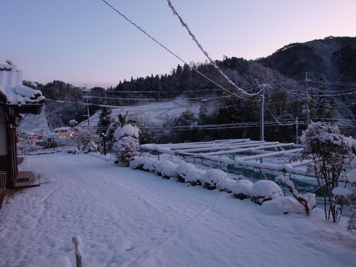 今朝の雪景色_c0116915_18102711.jpg