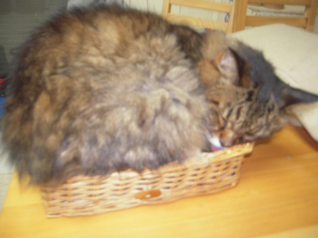c0085916_0282624.jpg
