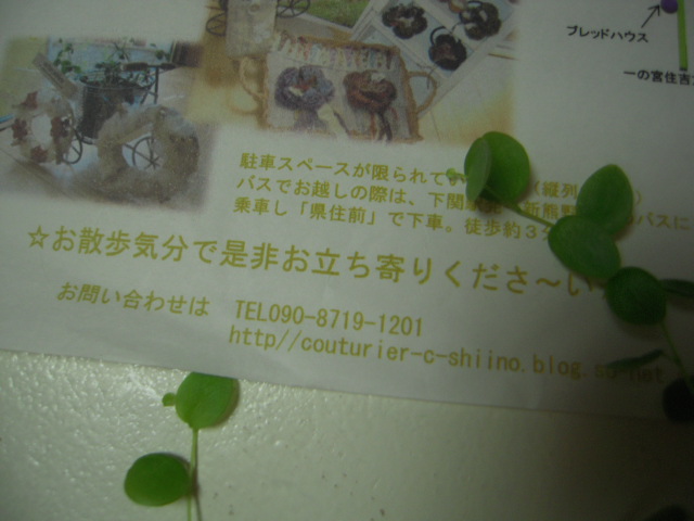 c0085916_8233751.jpg