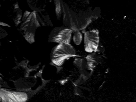 e0111719_23444339.jpg
