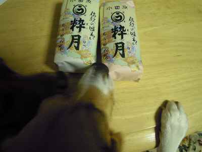 c0166622_21534754.jpg