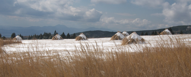 2009/12/18　阿蘇の冠雪第二弾_c0132230_21532275.jpg