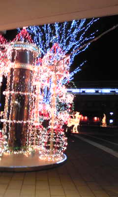 a0094140_11152576.jpg