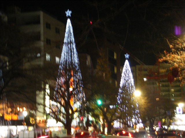 12月の国立の夜_b0077451_2333346.jpg