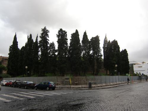 c0206352_4325357.jpg