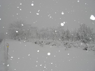八色の公園の雪_a0084753_1434154.jpg