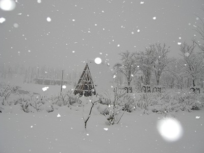 八色の公園の雪_a0084753_1434410.jpg