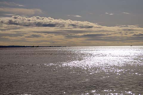 e0050753_02871.jpg