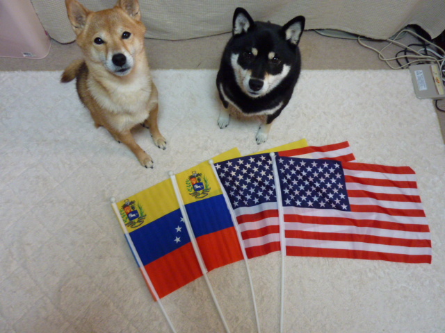 a0145959_16114331.jpg