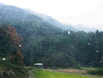f0064170_135496.jpg