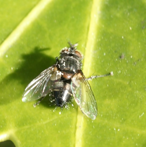b0070071_1437865.jpg