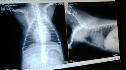 f0004180_1574870.jpg