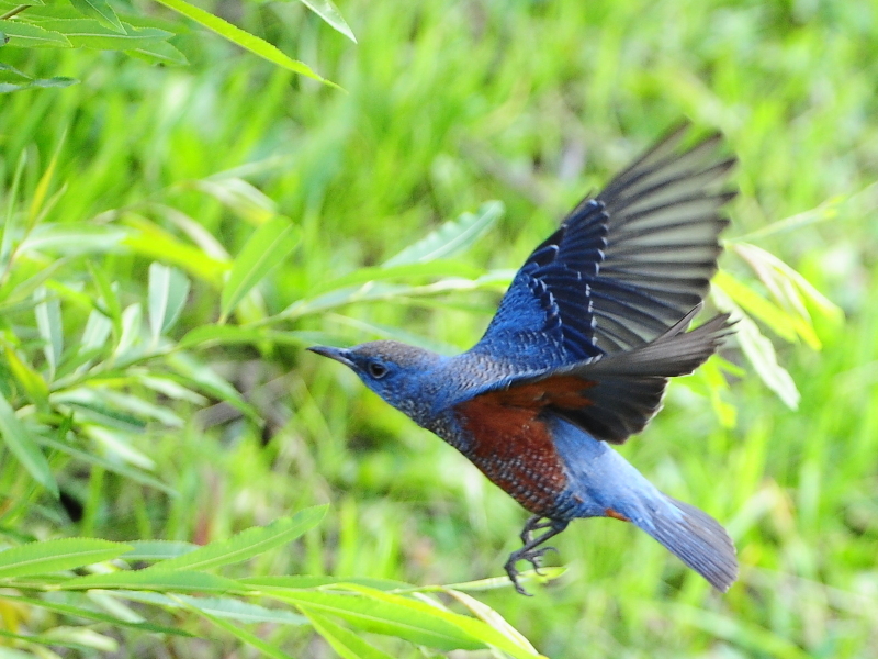 c0144588_2013445.jpg