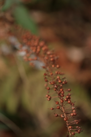 d0133693_0321639.jpg
