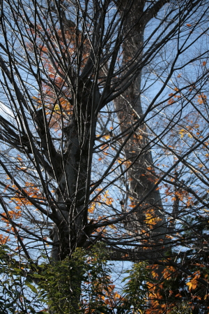 d0133693_032282.jpg