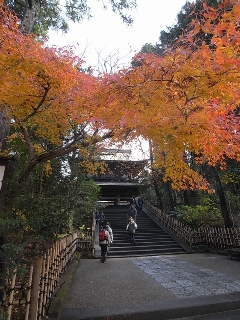 a0006306_14144264.jpg
