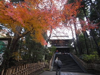 a0006306_1485343.jpg