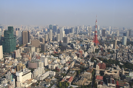 Tokyo Tower_e0138008_1436499.jpg