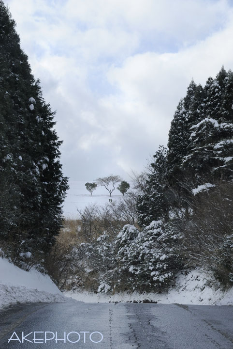 テンション↑ヽ(ﾟ∀ﾟ )ﾉ_e0127416_2371675.jpg